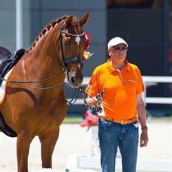 T.C. Dutch Sport Horses