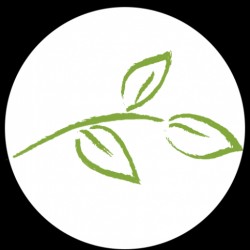 Tuinreconstructie van de Griend