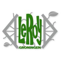 Stichting LeRoy Groningen