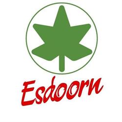 Scoutinggroep De Esdoorn