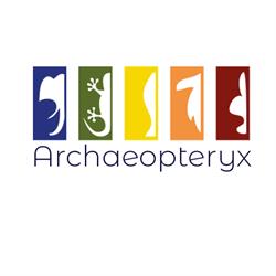 Archaeopteryx
