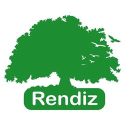 Rendiz