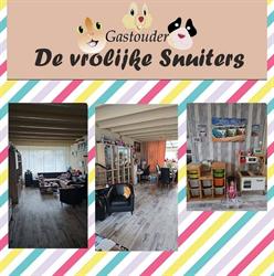 De Vrolijke Snuiters
