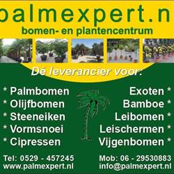 Palmexpert bomen- en plantencentrum
