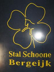 Stal Schoone