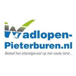 wadlopen pieterburen