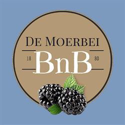 BnB De Moerbei Texel