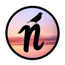 New Day Productions