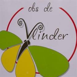 Openbare Basisschool (OBS) De Vlinder