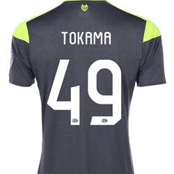 Tokama Steiger
