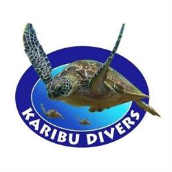 PADI Duikcentrum en Duikschool Karibu Divers Zuidlaren - Drenthe en Groningen