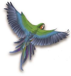Alles Voor Uw Vogel.nl