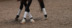 OSKAR Hoefspecialist