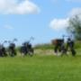 Fietsen, Friesland, Glamptent