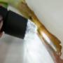 Digitale Microscoop