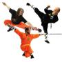 Kung Fu Almere - 2
