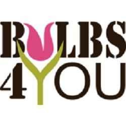 Bulbs4You