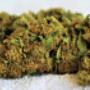 CBD Herbs
