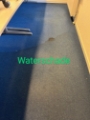 Tapijt reinigen waterschade
