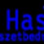 Glaszetbedrijf van Hasselt