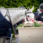 Bijzondere uitvaart met paard