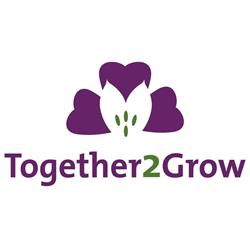 Together2Grow Alstroemeria Poeldijk