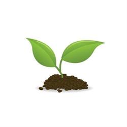 Natuurlijk! Hosting & Security