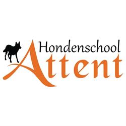 Hondenschool Attent