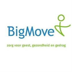 BigMove