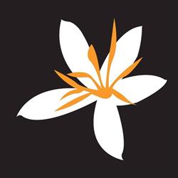 Fleur de Café BV