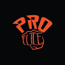 Pro Elite Kickboksen Zwolle