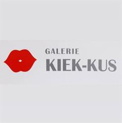 Galerie Kiek-Kus Deventer