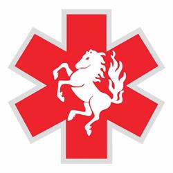 Medical Team Twente