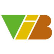 VIB Consulting