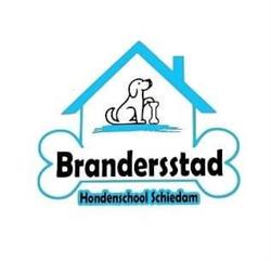 HSV de Brandersstad