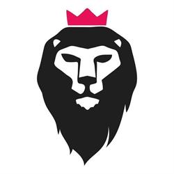 Mark King Online Strategie en Marketing