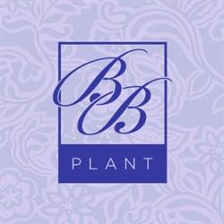 BB Plant