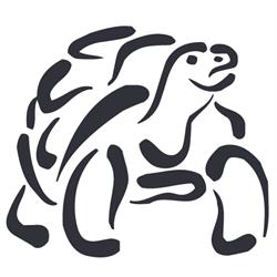 Stichting Schildpaddenopvang Nederland