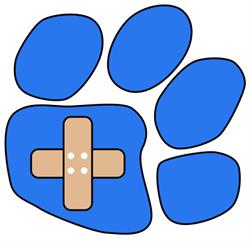 Dierenkliniek Capelle