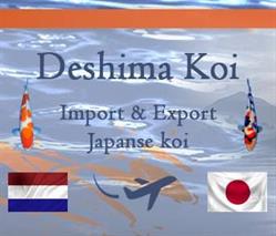 Deshima Koi