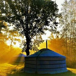 NOORDER YURTS