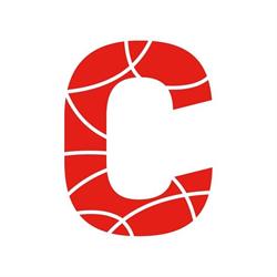 Coteq Netbeheer