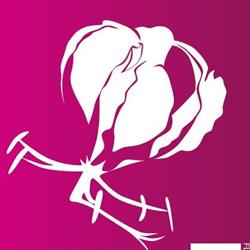 BLOEMENVAKSCHOOL FLORAL ACADEMY BY ELSO POST