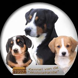 Kennel van de Malpieheide