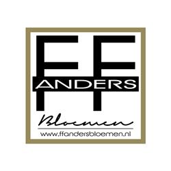 FF Anders Bloemen Uitgeest