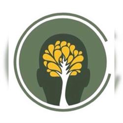 FysioBrein