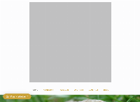 Website van Zolnet Acupunctuur 