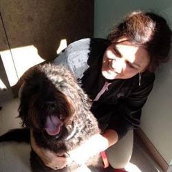 Trimsalon/Hondentrimsalon Dog Style en Dog Food
