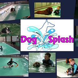Dogsplash