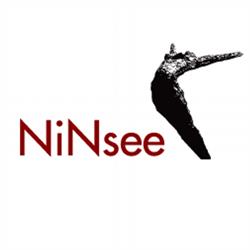 NiNsee